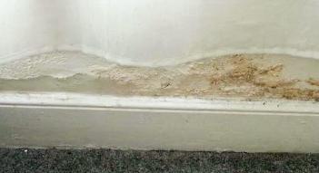 Rising Damp